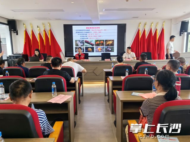 新宝塔社区开展“党带群”预防野生蘑菇中毒专项宣传活动。 均为长沙晚报通讯员 秦晓阳 供图 新宝塔社区开展“党带群”预防野生蘑菇中毒专项宣传活动。 均为长沙晚报通讯员 秦晓阳 供图