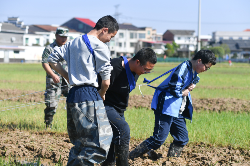 参加“博士村研学”耕作体验的学生。 参加“博士村研学”耕作体验的学生。