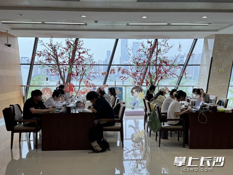 暑假长图阅览室人气旺。均为长沙图书馆 供图