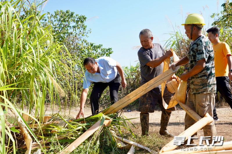 在宁乡市道林镇河东新村，村干部带领村民寻找到废弃矿洞的水源，抽出地下水能灌溉近千亩农田。 均为长沙晚报全媒体记者张禹、通讯员段华良摄