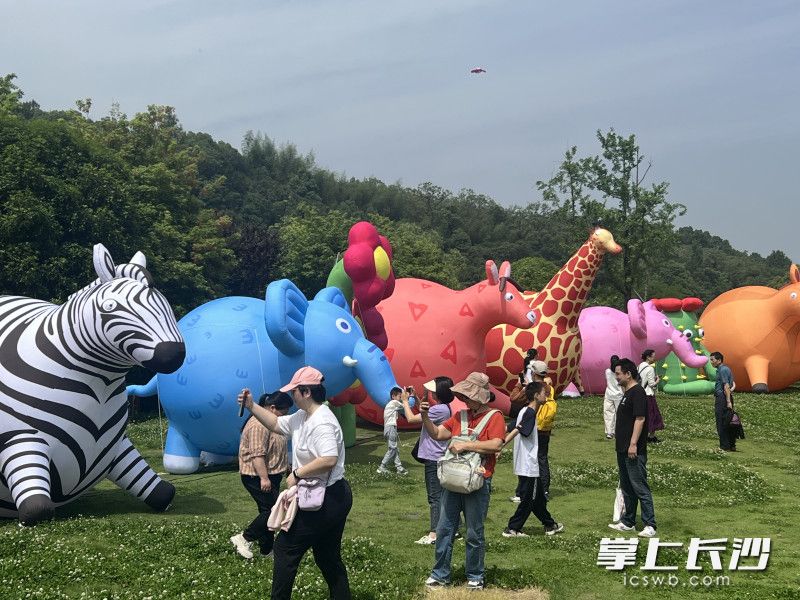 趣野长动，万兽来潮。长沙生态动物园国庆将为游客打造沉浸式游园盛宴。 均为长沙晚报全媒体记者贺文兵摄