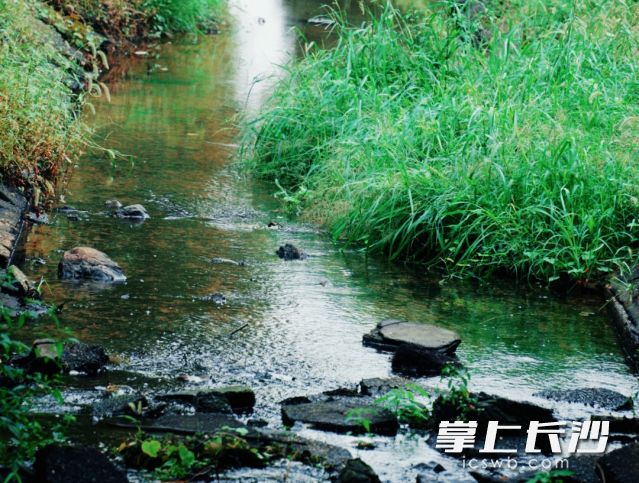 市民朋友要根据天气调整行程，合理安排生活及出行。 长沙晚报全媒体记者 舒元臻 摄