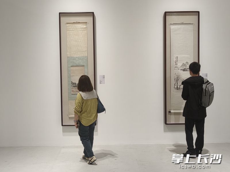 观众欣赏民国时期湖南山水画的卓越风采。长沙晚报全媒体记者 肖舞 摄