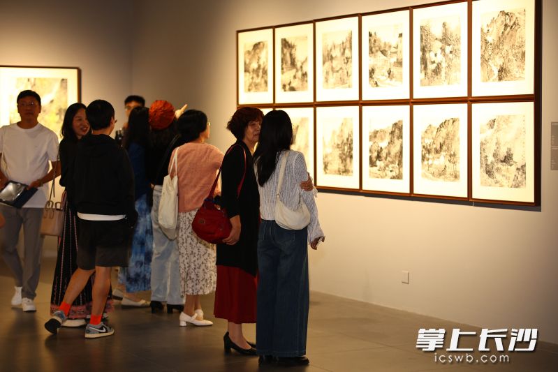 观众认真欣赏画作。