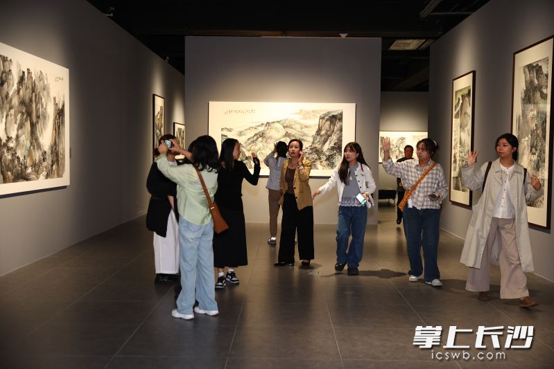 多市民目睹“山水湘军”的实力与魅力。除署名外均为通讯员 供图