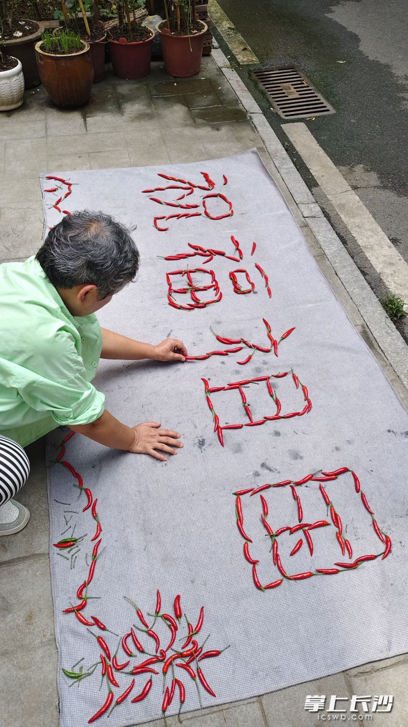 国庆佳节到来之际,湖南湘江新区望月湖街道湖东社区居民高燕,用小米辣拼出一幅长2米、宽1米的立体画“祝福祖国”。 长沙晚报全媒体记者 周小华 摄 国庆佳节到来之际,湖南湘江新区望月湖街道湖东社区居民高燕,用小米辣拼出一幅长2米、宽1米的立体画“祝福祖国”。 长沙晚报全媒体记者 周小华 摄