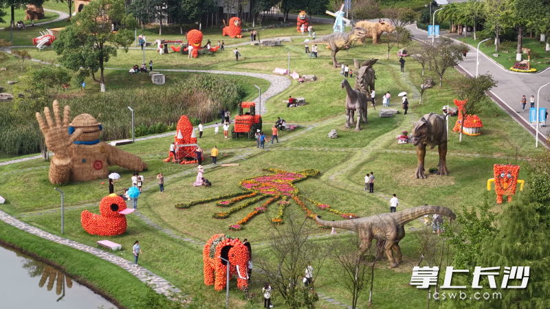 十万个南瓜造出一园奇幻。