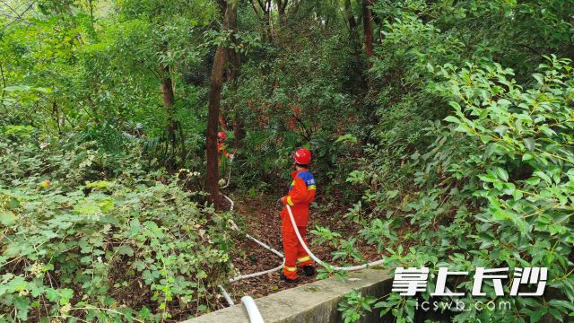 黑石铺街道组织开展森林防灭火应急演练。 均为长沙晚报通讯员 李淑云供图 黑石铺街道组织开展森林防灭火应急演练。 均为长沙晚报通讯员 李淑云供图