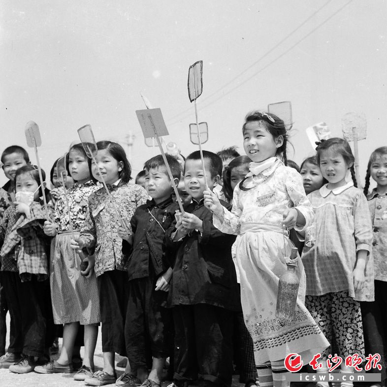 1958年4月26日,水陆洲的菜花芬芳沁鼻,和风吹荡着湘江碧水粼粼泛光,把橘子洲头衬托得格外幽静,孩子们在这里展开了一场规模较大的歼蝇战。 1958年4月26日,水陆洲的菜花芬芳沁鼻,和风吹荡着湘江碧水粼粼泛光,把橘子洲头衬托得格外幽静,孩子们在这里展开了一场规模较大的歼蝇战。