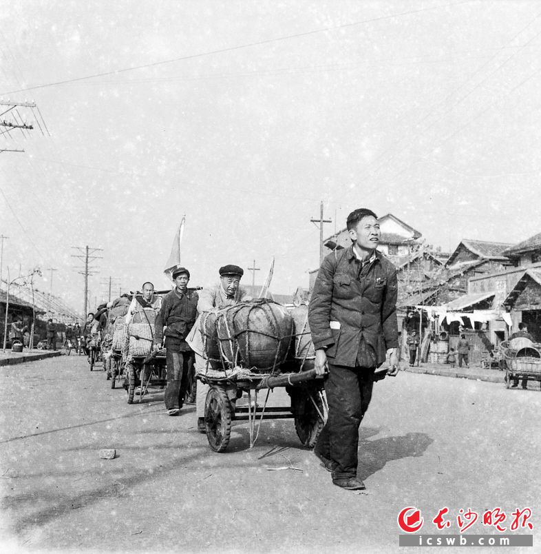1958年12月16日,湖南制药厂干部、工人一起用板车拖运生产原材料。板车在当时是主要的短途运输工具。 1958年12月16日,湖南制药厂干部、工人一起用板车拖运生产原材料。板车在当时是主要的短途运输工具。