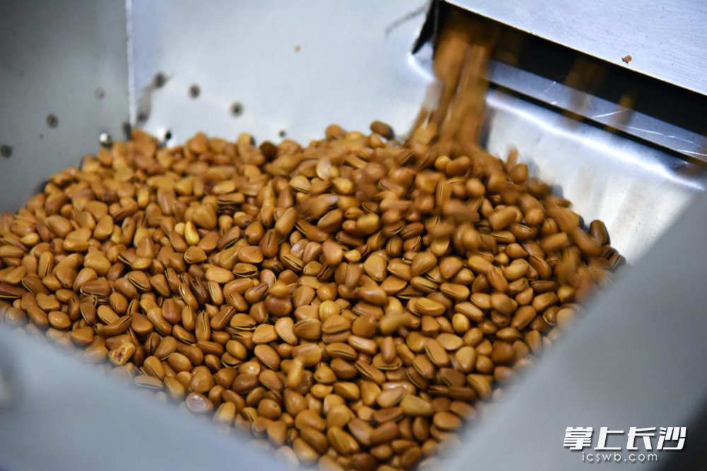 粉塔、滤网筛选原料分级、打磨去皮、高温油炸、脱油、再次筛选、分装，这是一套完整的生产流程。