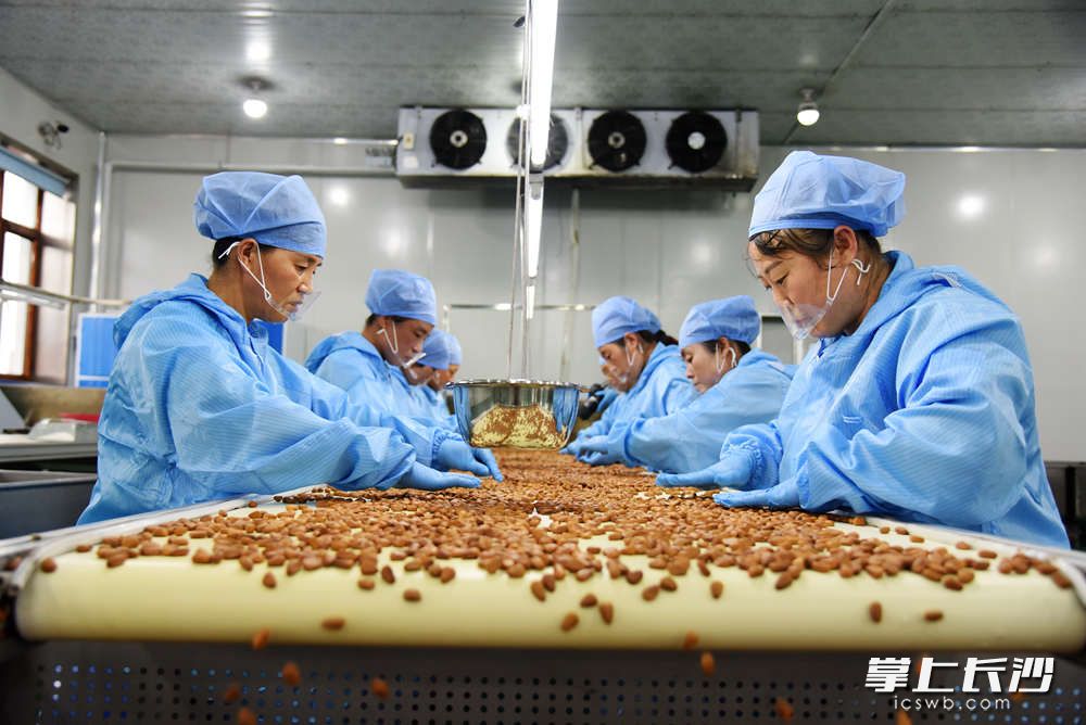 良品铺子两款东北红松，标准堪称“严苛”，完果率98%以上，开口率96%以上。这意味着每100颗松子，最多有3-4颗没开口或者果仁不完整。