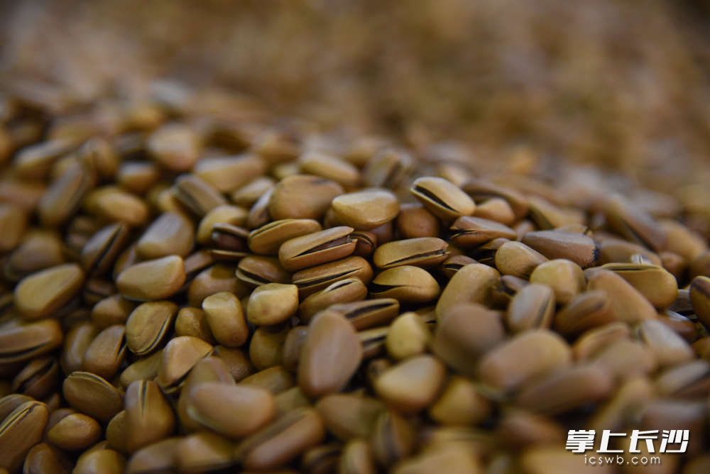 每年良品铺子采购1500至1800吨1级和2级东北红松，约占该等级红松产量十分之一。良品铺子东北红松·臻品和东北红松·贡品，因为品质好，一直是坚果品类主打单品，年销售额过亿。