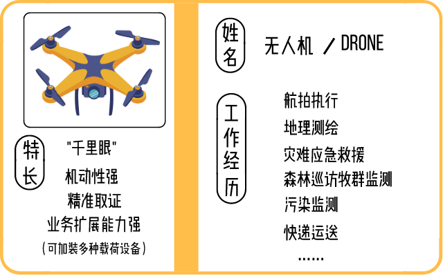 空中“小可爱”的简历