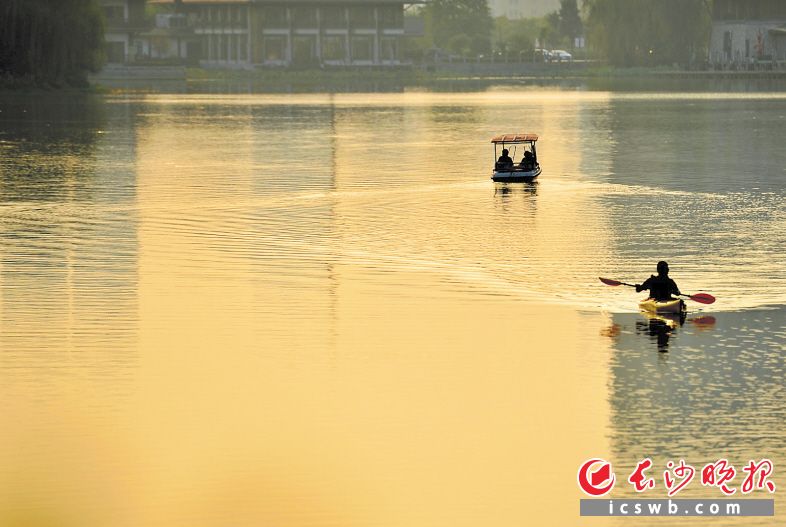 月湖公园如镜水面上，市民正在悠闲划船。 　　长沙晚报全媒体记者 邹麟 摄