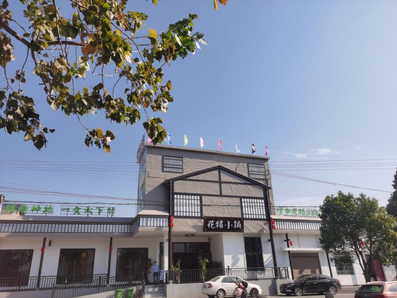 鸿富村“花猪小镇”农庄