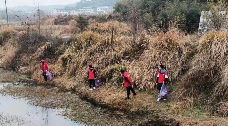 鸿富村志愿者开展河道环境整治行动
