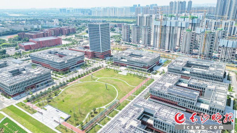 岳麓山实验室集聚区农大片区预计8月实现交付入驻。绿色自然与科研创新建筑是该实验室一大亮点。 长沙晚报全媒体记者 易亿 摄