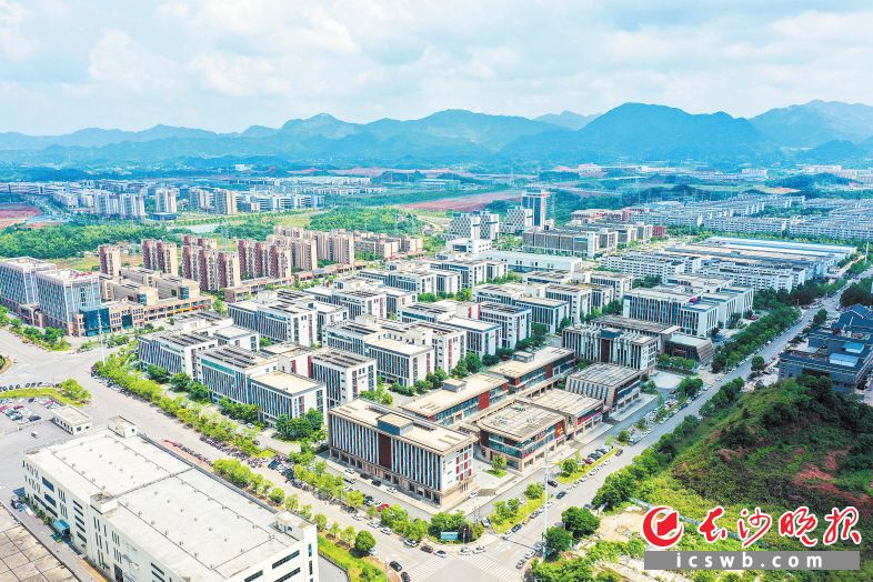 随着一个个重点项目签约落地,金阳科创城建设正全面提速。图为金阳科创城一角。长沙晚报全媒体记者 余劭劼 摄 随着一个个重点项目签约落地,金阳科创城建设正全面提速。图为金阳科创城一角。长沙晚报全媒体记者 余劭劼 摄