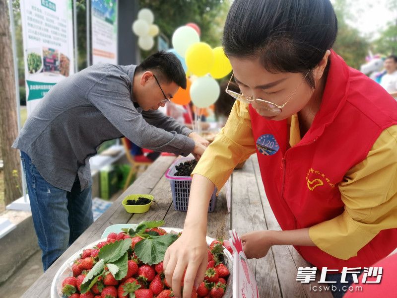 “相约春天·长沙消费季 聚天心·惠生活·乐消费”农家采摘节在天心区南托街道启动。长沙晚报全媒体记者 王斌 摄