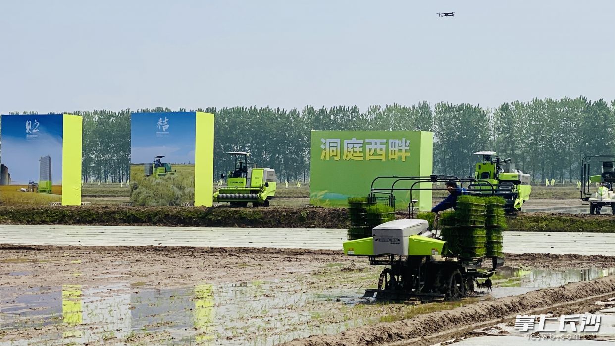 中联重科的无人驾驶有序抛秧机在西洞庭忙碌春播。  长沙晚报全媒体记者  周辉霞摄