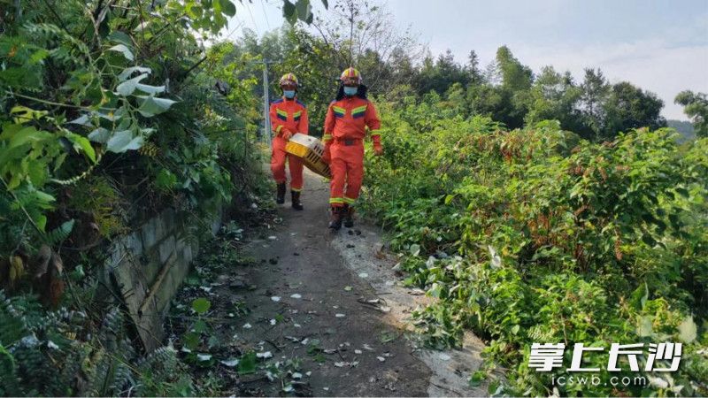 金井镇专职消防救援队的消防队员协助农户,帮2000多只鸭子搬家。均为长沙晚报通讯员 胡宇波 供图 金井镇专职消防救援队的消防队员协助农户,帮2000多只鸭子搬家。均为长沙晚报通讯员 胡宇波 供图