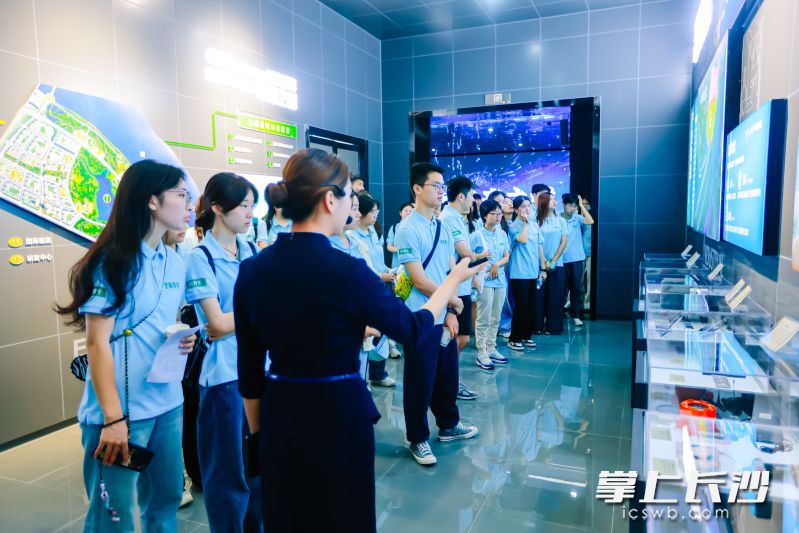 活动让学子们进一步了解望城。