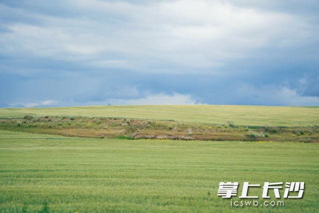 今日在暴雨和高温预警中迎来了三伏天里的“中伏”。 长沙晚报全媒体记者 舒元臻摄 今日在暴雨和高温预警中迎来了三伏天里的“中伏”。 长沙晚报全媒体记者 舒元臻摄