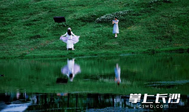 9月1日雷阵雨同学抢先“报到”,长沙暂时退出湖南“高温朋友圈”。 长沙晚报全媒体记者 舒元臻摄 9月1日雷阵雨同学抢先“报到”,长沙暂时退出湖南“高温朋友圈”。 长沙晚报全媒体记者 舒元臻摄