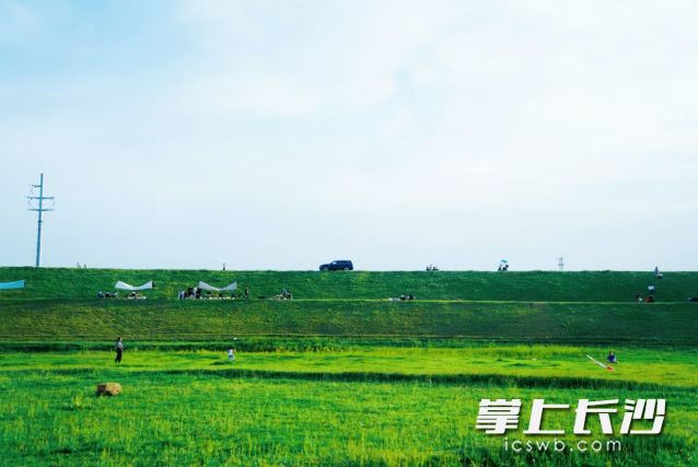 “双节”假期已触手可及，长沙天气正调整模式。  长沙晚报全媒体记者 舒元臻摄