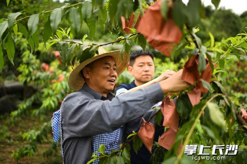 田间地头、村组屋场,处处都有扶贫干部的身影。 田间地头、村组屋场,处处都有扶贫干部的身影。