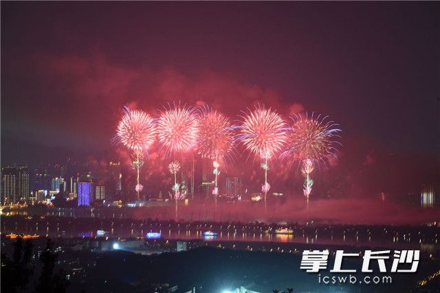 全媒体记者 王志伟 摄