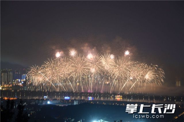 全媒体记者 王志伟 摄