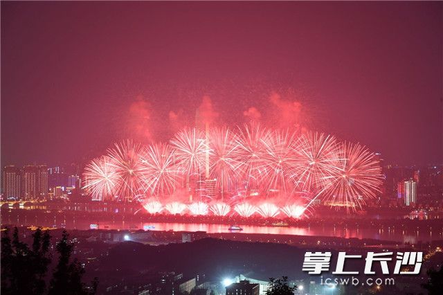 全媒体记者 王志伟 摄