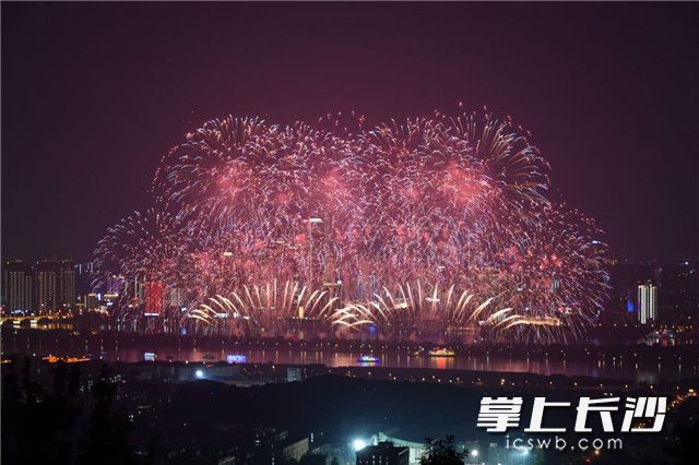 全媒体记者 王志伟 摄