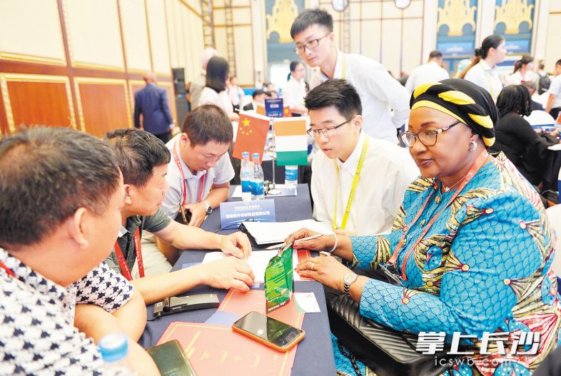 湖南利外农林科技有限公司和科特迪瓦的代表正在进行磋商。长沙晚报全媒体记者 邹麟 摄 湖南利外农林科技有限公司和科特迪瓦的代表正在进行磋商。长沙晚报全媒体记者 邹麟 摄