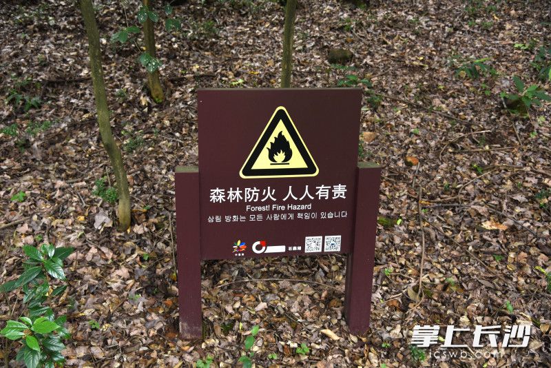 景区设置多处森林防火提示，然而依然有人在林地内抽烟。长沙晚报全媒体记者 刘琦 摄