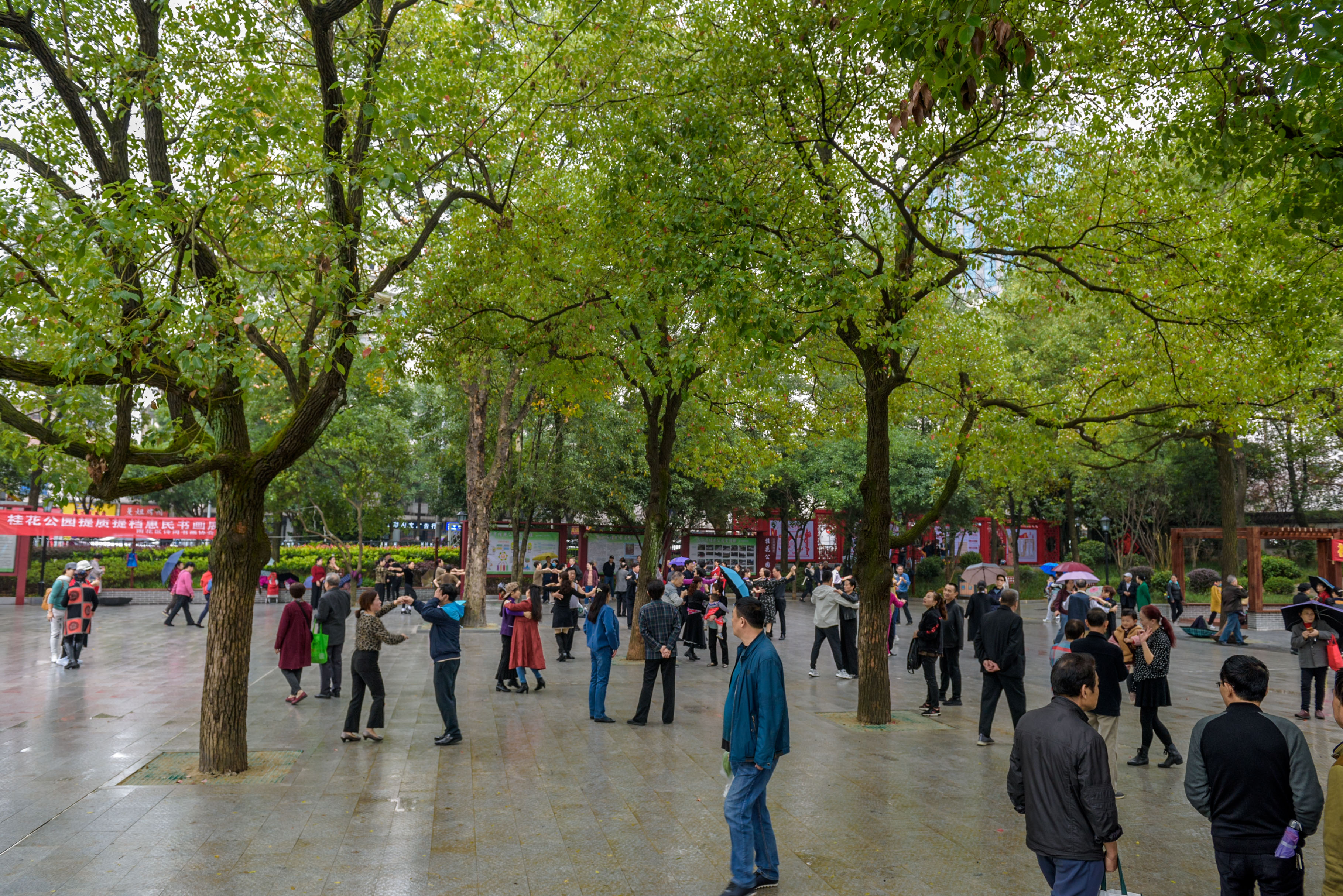 桂花公园提质改造后，广场得到扩容，新装迎客的第一天，市民们在此翩翩起舞。 长沙晚报全媒体记者  陈飞 摄