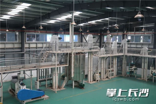 深涧山茶油加工厂一角，采用自动化作业，最大限度保存茶油的营养成分和独特风味。