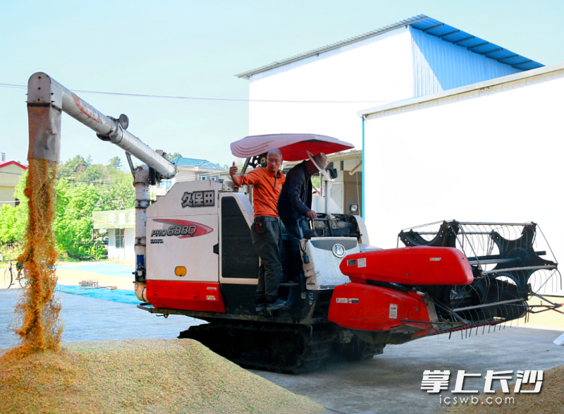 今年又是丰收盘年。