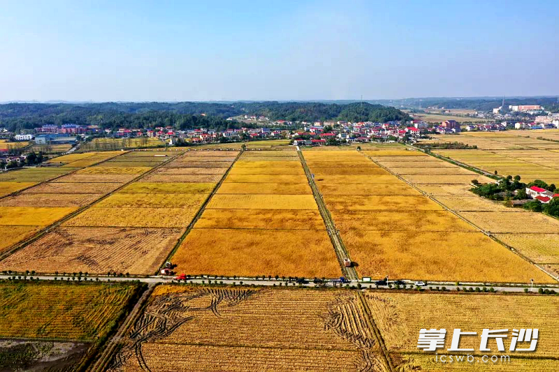 80多丘小田被整合成10多丘大田。