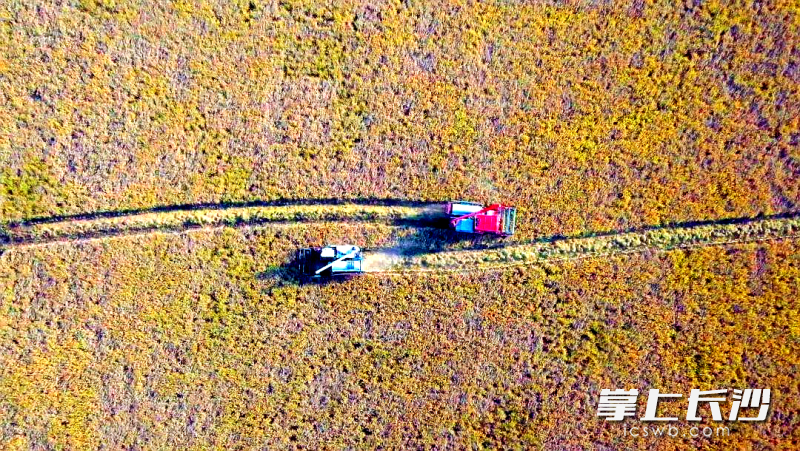 小田变大田，种粮省时又省力。