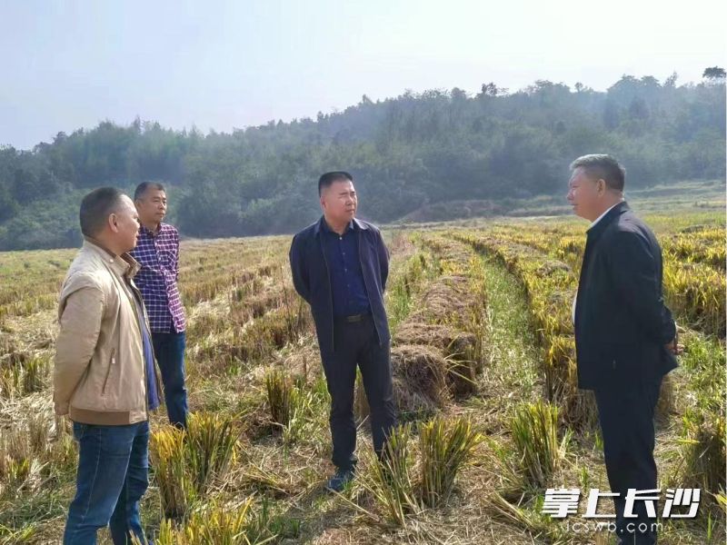 宁乡市环委办成立专项督查组，实地开展秸秆禁烧督查巡查。长沙晚报全媒体记者 张禹 通讯员 刘梓琦 许颂坚 摄影报道