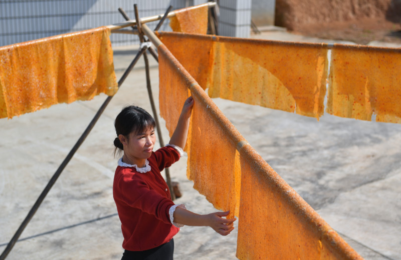 在双江口镇莲花山村，美丽村姑正在晾晒制作当地传统美食酸枣糕。资料图片