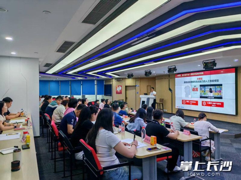 培训通过“专题教学 现场观摩 交流研讨”的形式举行。均为长沙晚报通讯员 雷琬琪 供图