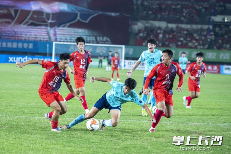 两队球员在比赛中。