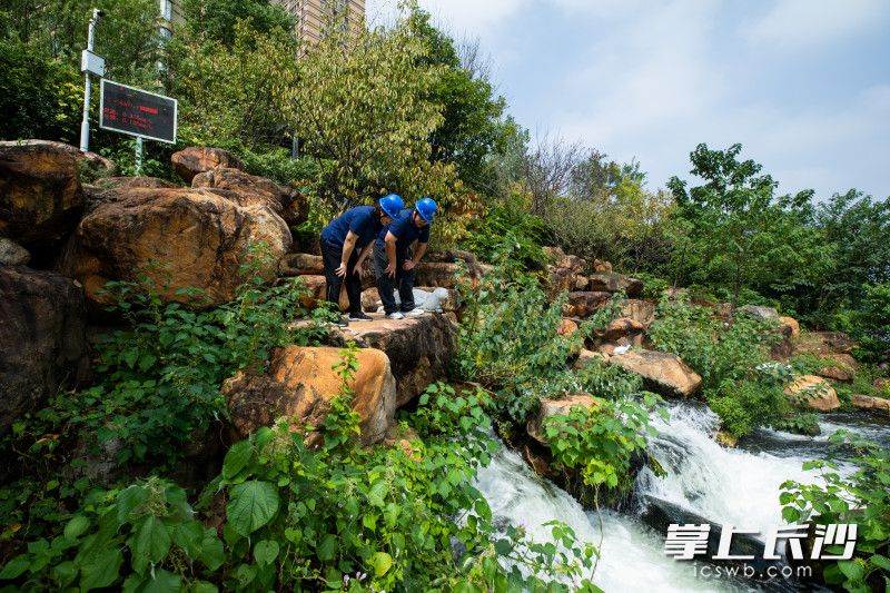 维保班在圭塘河边的排水口进行巡查。