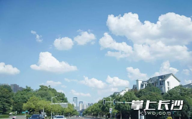 未来一周长沙天天30℃ ，最高气温直接冲上36℃。均为长沙晚报全媒体记者 舒元臻 摄