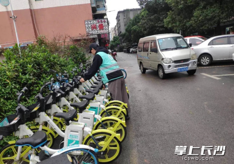 工作人员将共享单车有序摆放。