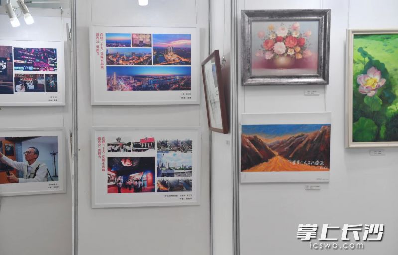 长沙晚报社（集团公司）“强省会 勇担当 喜迎二十大 党媒永忠诚”主题文艺创作大赛作品涵盖绘画、书法、文学、影像等类别。  长沙晚报全媒体记者 邹麟 摄